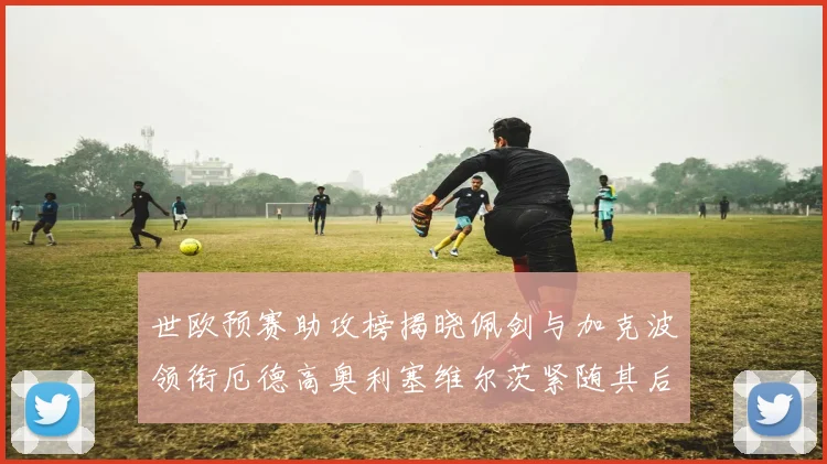 世欧预赛助攻榜揭晓佩剑与加克波领衔厄德高奥利塞维尔茨紧随其后