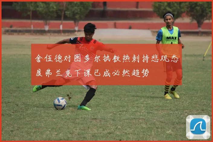 舍伍德对图多尔执教热刺持悲观态度弗兰克下课已成必然趋势