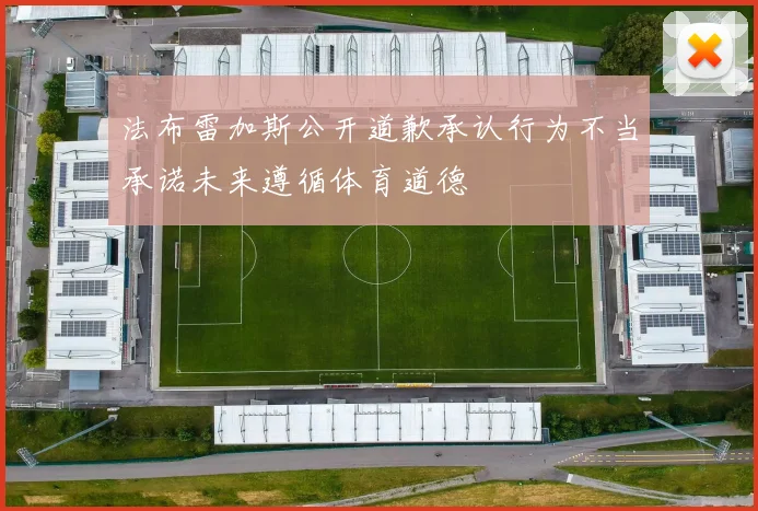 法布雷加斯公开道歉承认行为不当承诺未来遵循体育道德